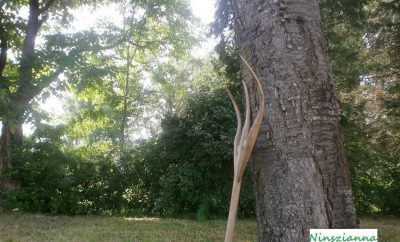 Ninszianna Apartman Őrség, Vadása-tó