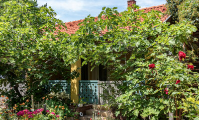 Árnyas vendégház, Füge apartman