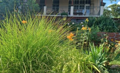 Csiba Villa Révfülöp