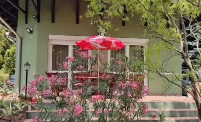 Patakyné Gáspár Melinda