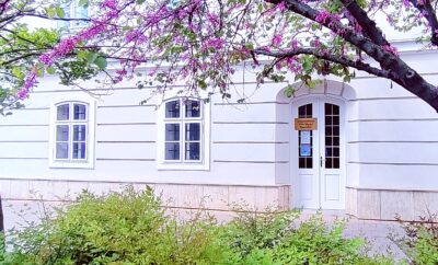 Mozgássérültek Zala Megyei Egyesülete