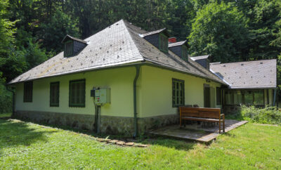 Pihenés az erdő mélyén !