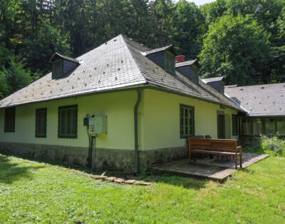 Pihenés az erdő mélyén !