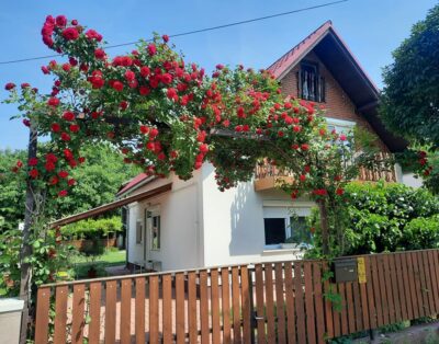 Rózsalugas-ház Balaton