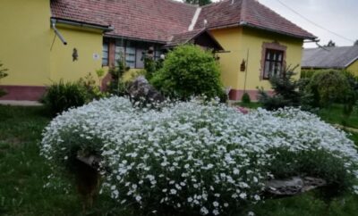 Fácános és Platán Vendégház