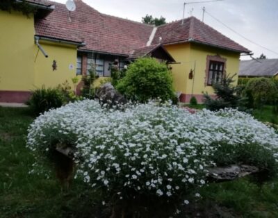 Fácános és Platán Vendégház