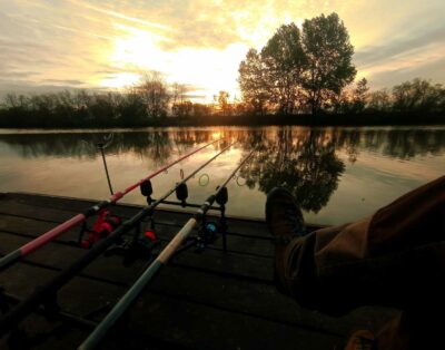 Közvetlen vízparti, Árnyasfűz horgász nyaraló a Körös Peresi-holtágán
